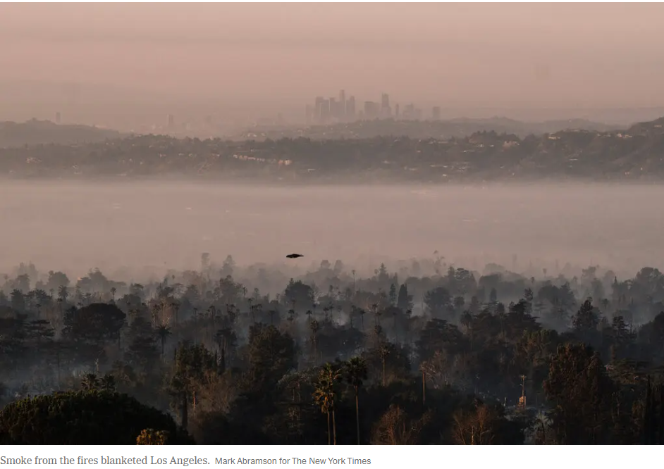 스크린샷 2025-01-22 115901.png