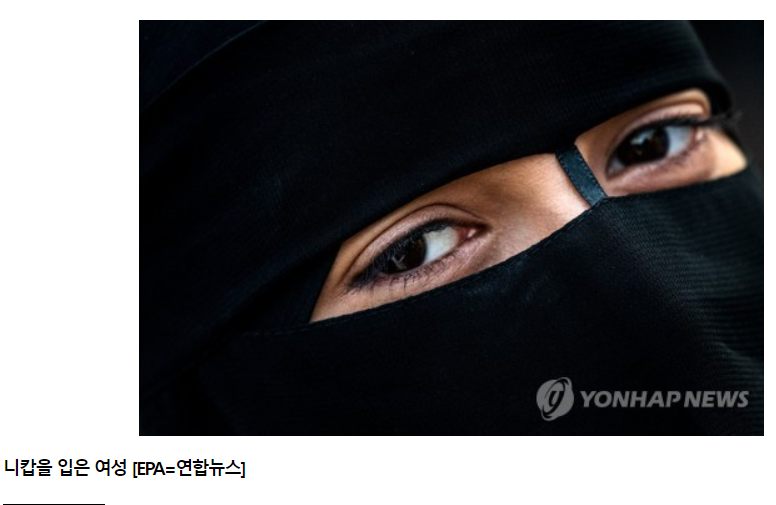 화면 캡처 2022-11-29 174045 니캅.png