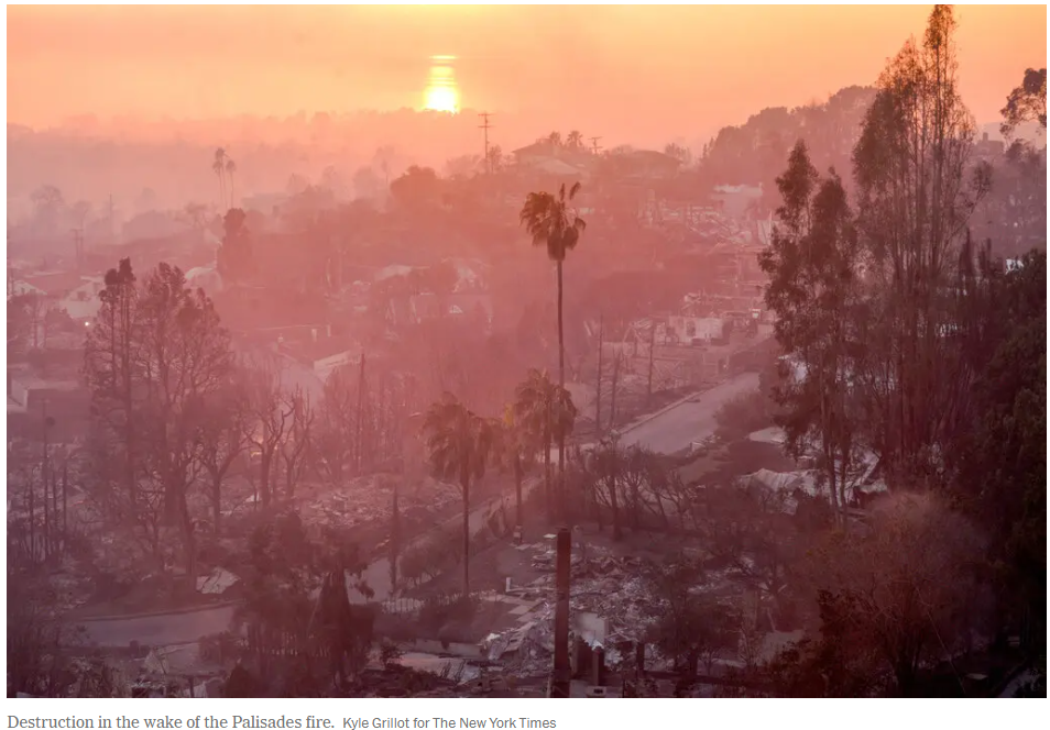 스크린샷 2025-01-22 115556.png