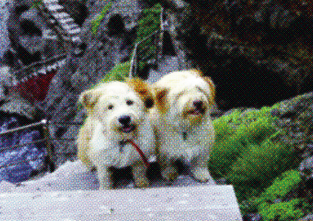 스크린샷 2018-04-11 오후 11.20.48.png