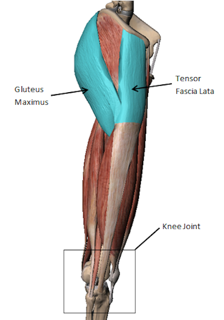 EA SPORTS™ FIFA ONLINE 3.url.png