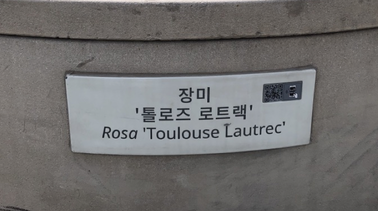 PixelSnap 2019-03-29 at 11.39.57.png