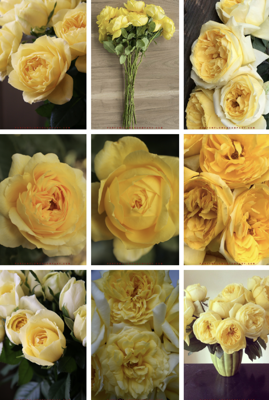 PixelSnap 2019-03-29 at 11.43.09.png