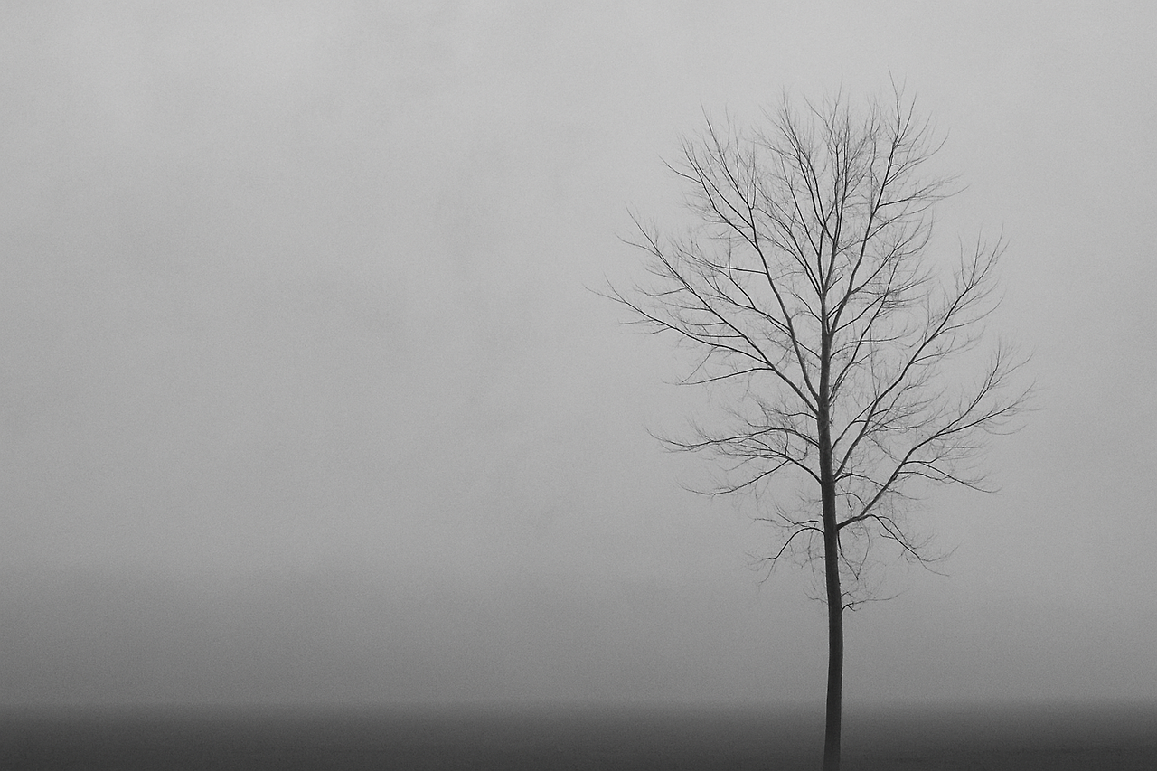 ChatGPT Image 2025년 7월 24일 오전 01_39_40.png