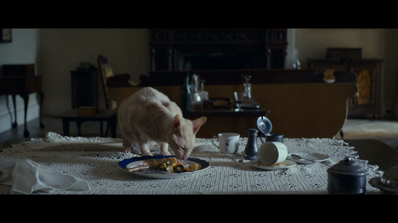 2020-03-06 19;53;02_71.png