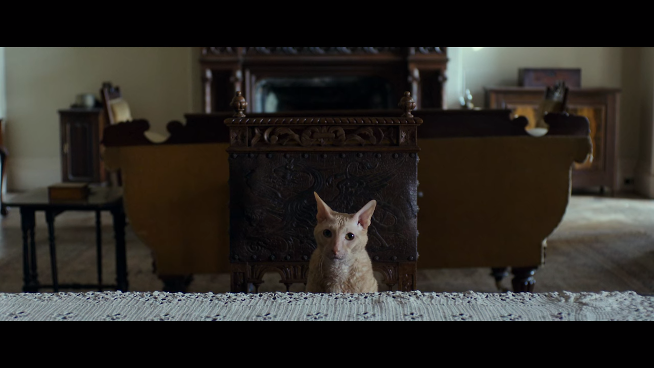 2020-03-06 19;53;02_94.png