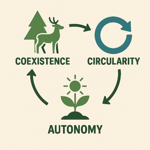 ChatGPT Image 2025년 5월 23일 오전 09_14_47.png