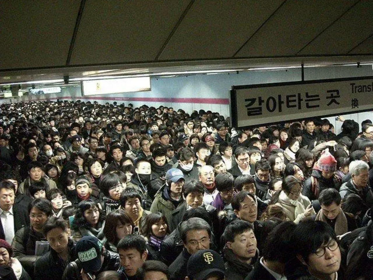 스크린샷 2025-03-13 오후 3.19.05.png