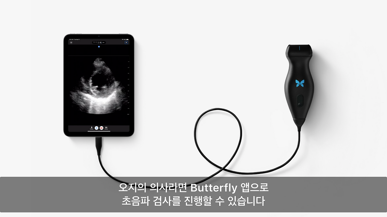 스크린샷 2021-09-15 오전 9.48.52.png