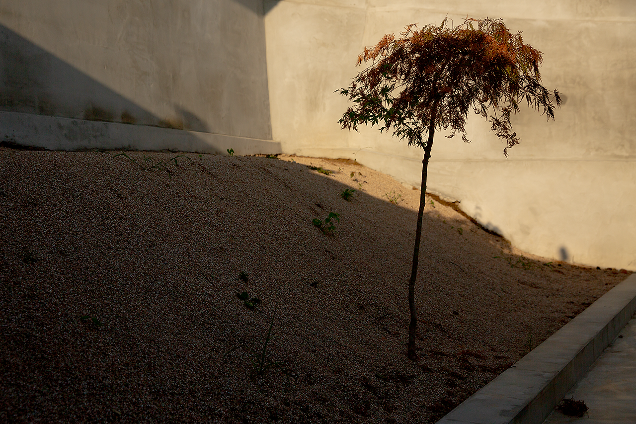 d레이어 1 (12).png