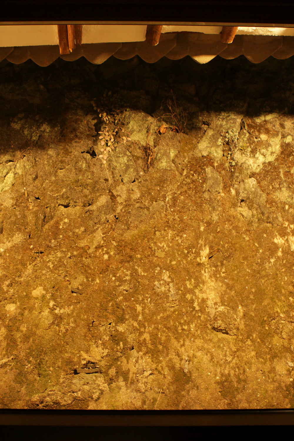 목포 구옥인테리어 한옥스테이 한옥건축 version m (3).png