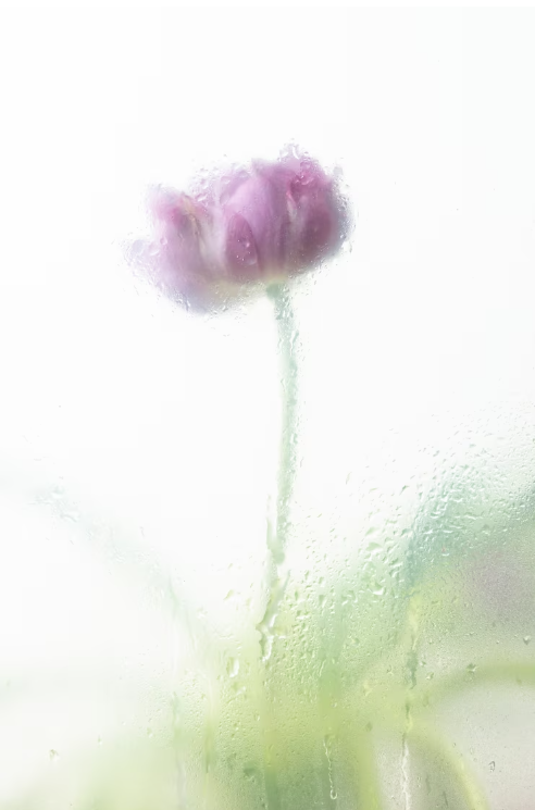 스크린샷 2023-10-03 001045.png