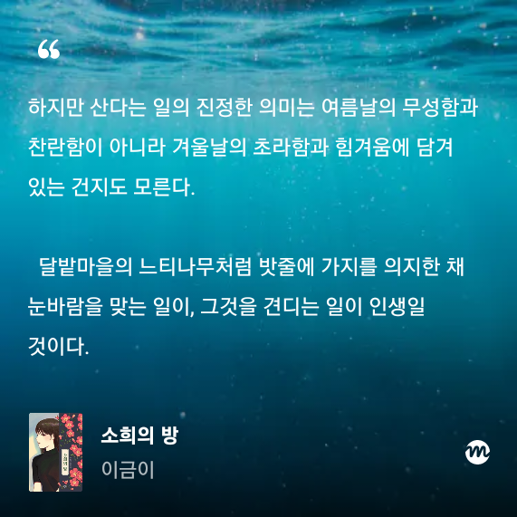 KakaoTalk_20251129_000340665.png