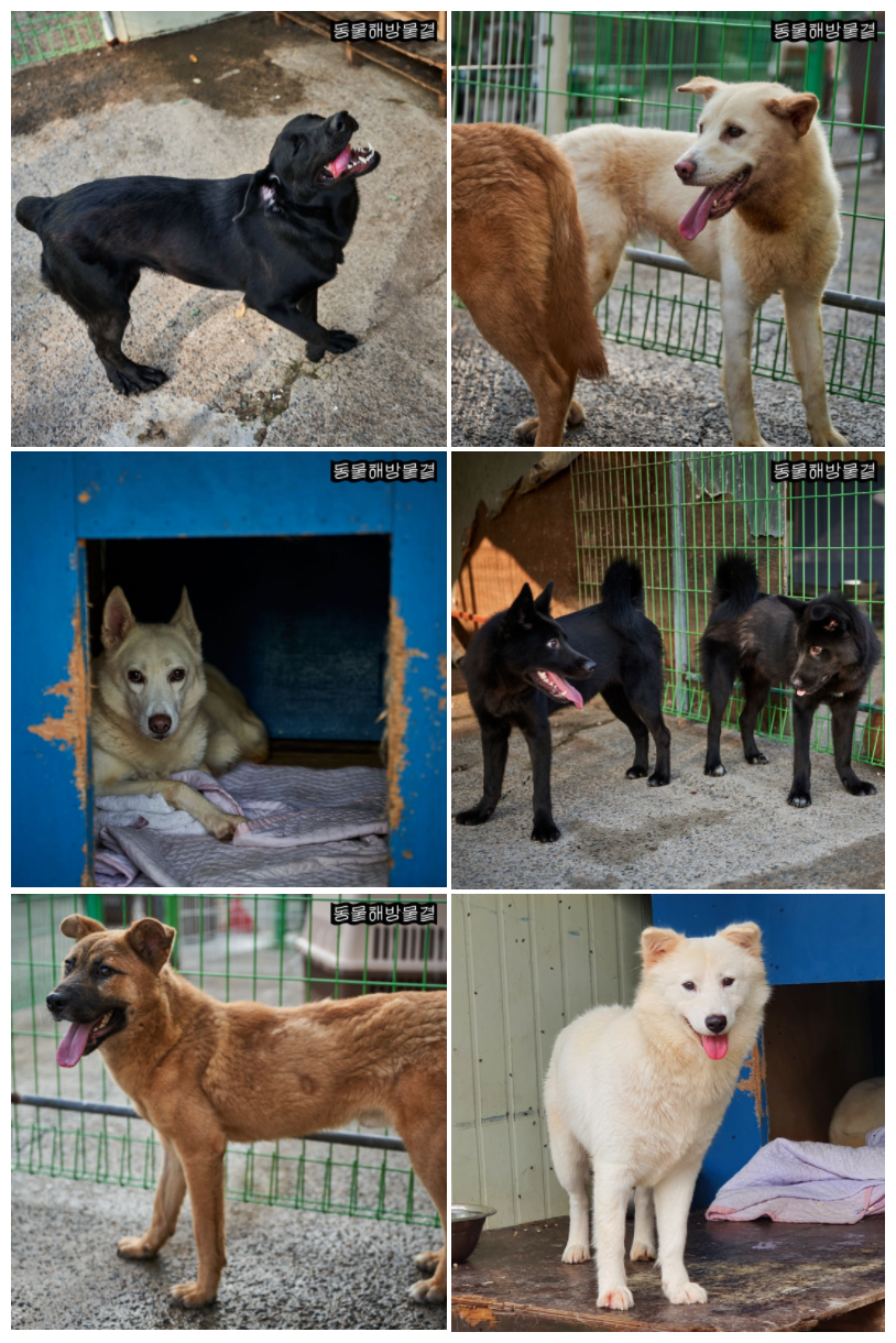 스크린샷 2021-09-15 오후 11.33.46.png