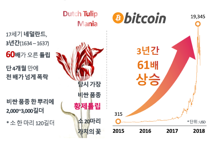 비트코인 튤립.png