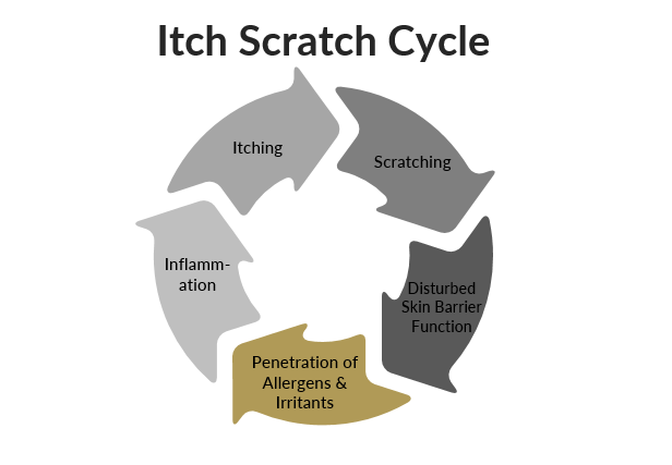 Eczema_Itch-Scratch.png