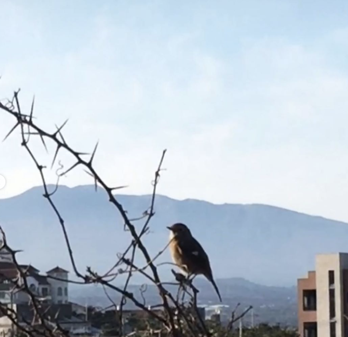 Screen Shot 2020-01-10 at 7.57.14 PM.png