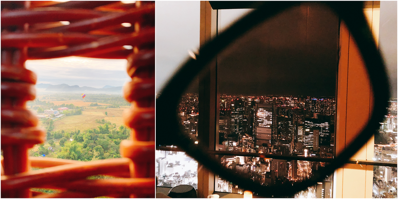 window for perceiving the world.png