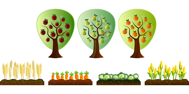 사본 -farm-158332_640.png