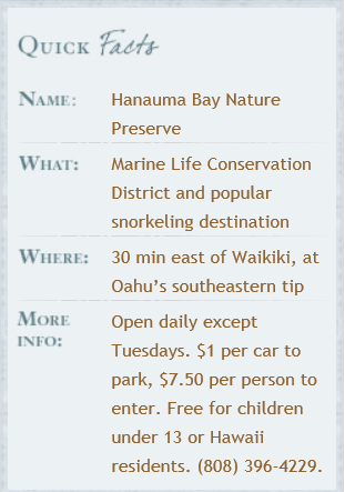 hanaumabayfacts.png