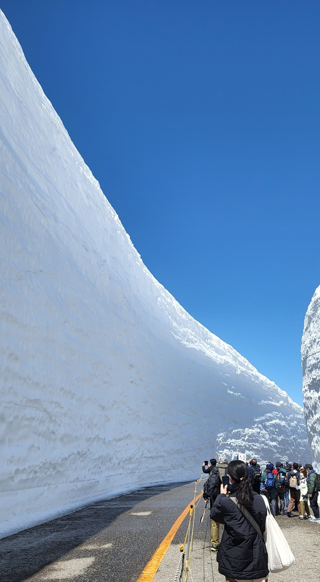 토야마 빙멱.png
