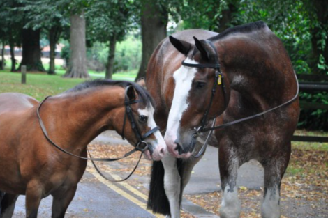 Screen Shot 2019-03-04 at 11.13.59.png