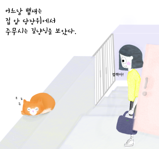 5.집앞담장위-길냥님을-보아따.png