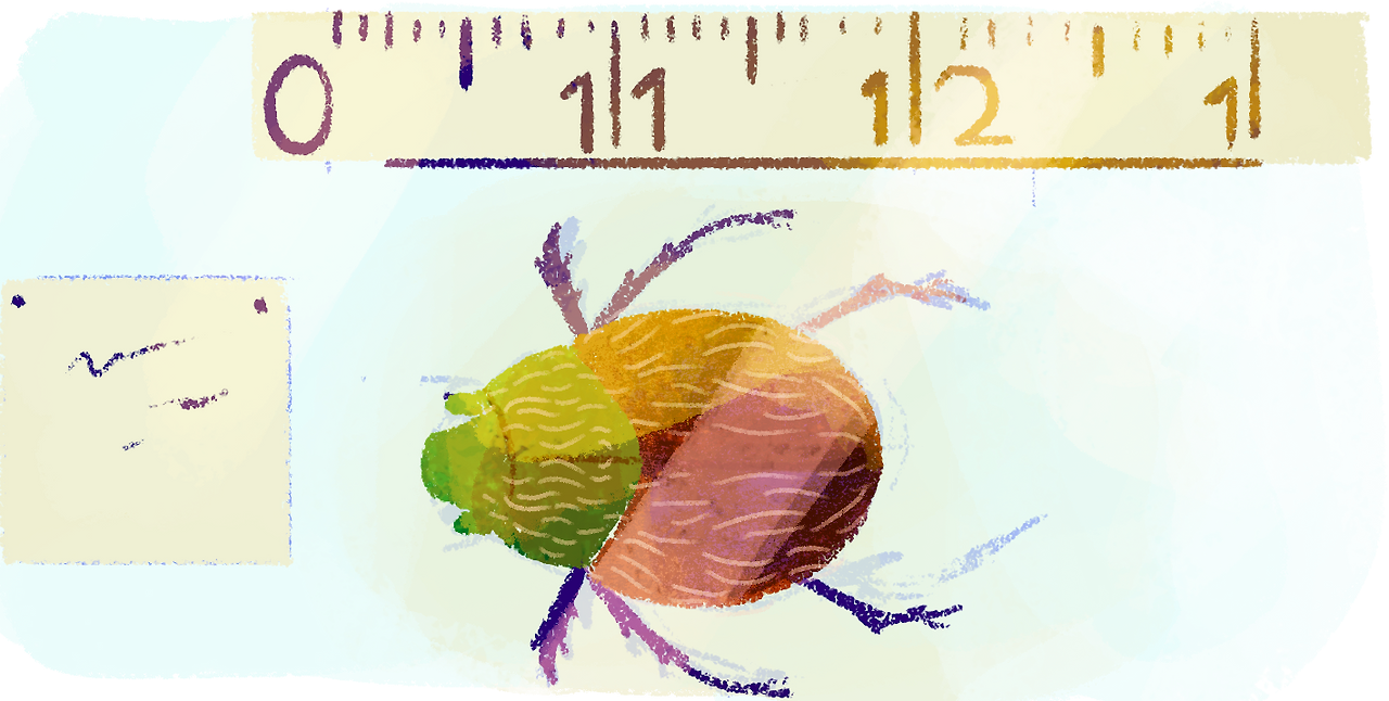 beetle-1.png