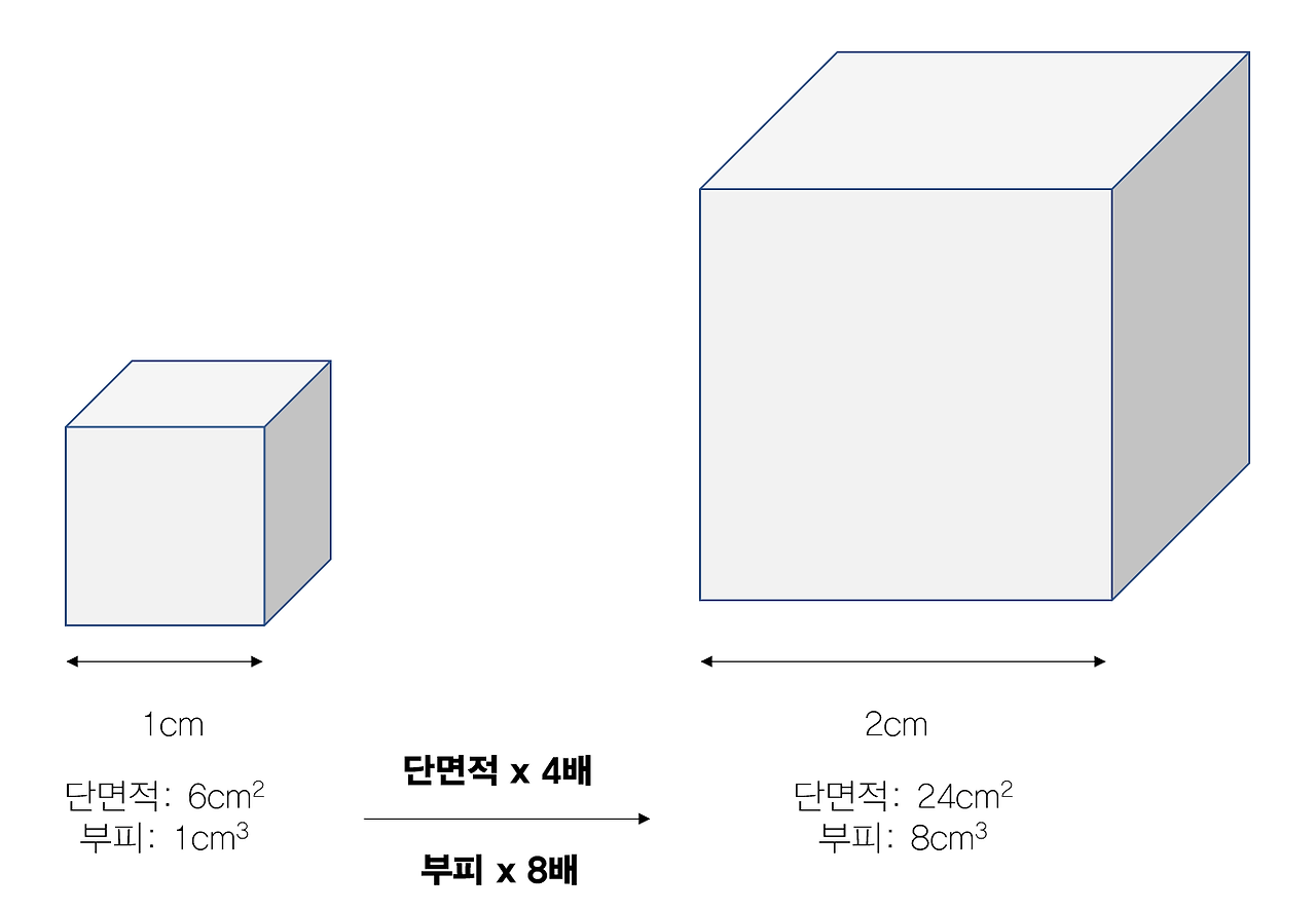 단면적 증가 설명 자료2.png
