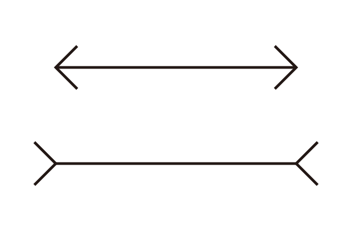 3. 뮐러라이어 착시.png