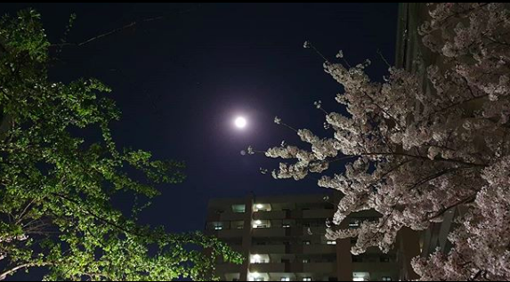 스샷 1.png