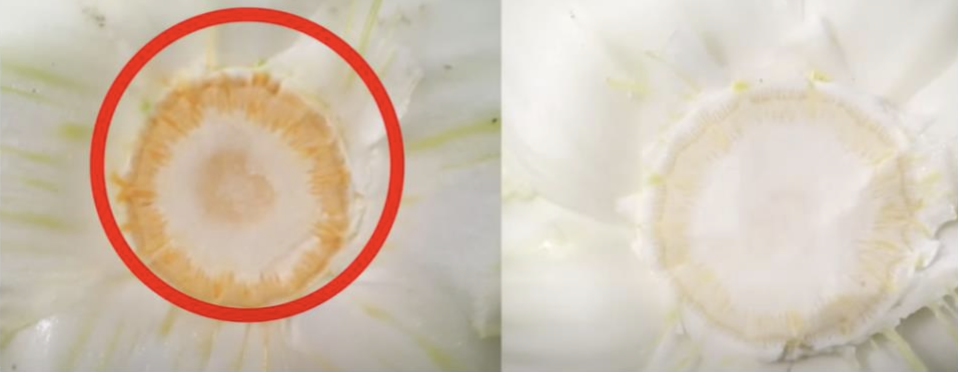 스크린샷 2021-12-22 오후 11.45.55.png