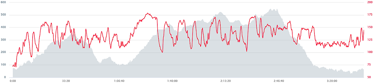 9937BE3D5B0CB28609 (1).png