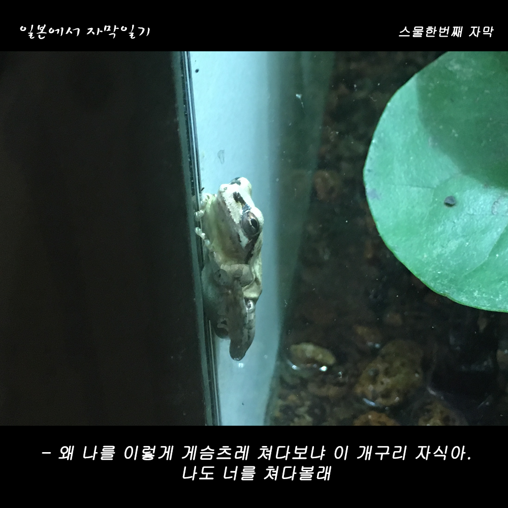 자막버전 copy 6.png