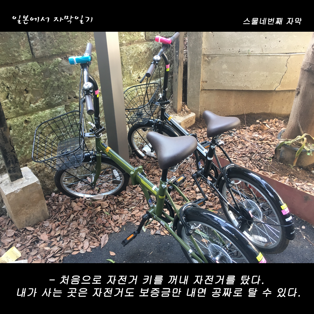 자막버전 copy.png