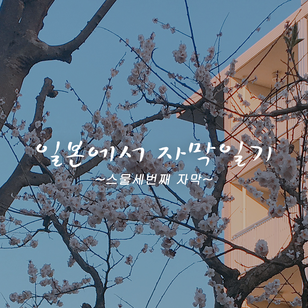 첫페이지 copy.png