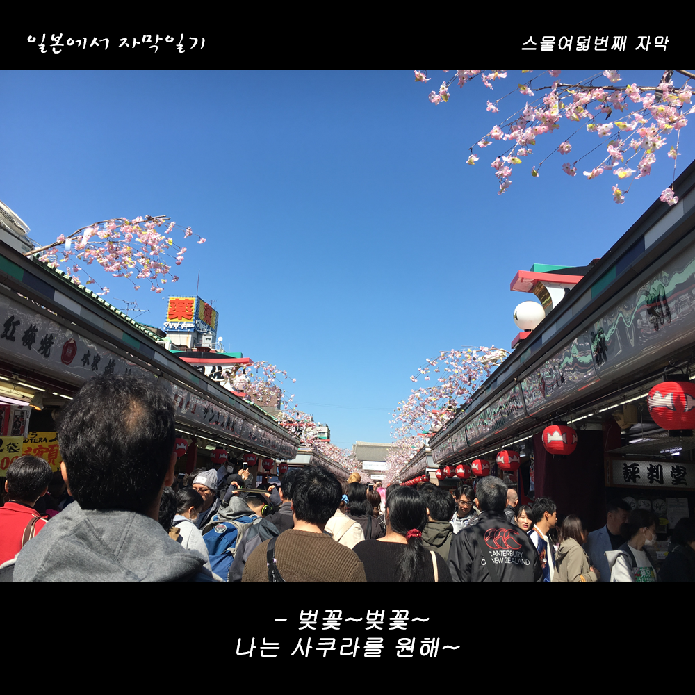 자막버전 copy 7.png