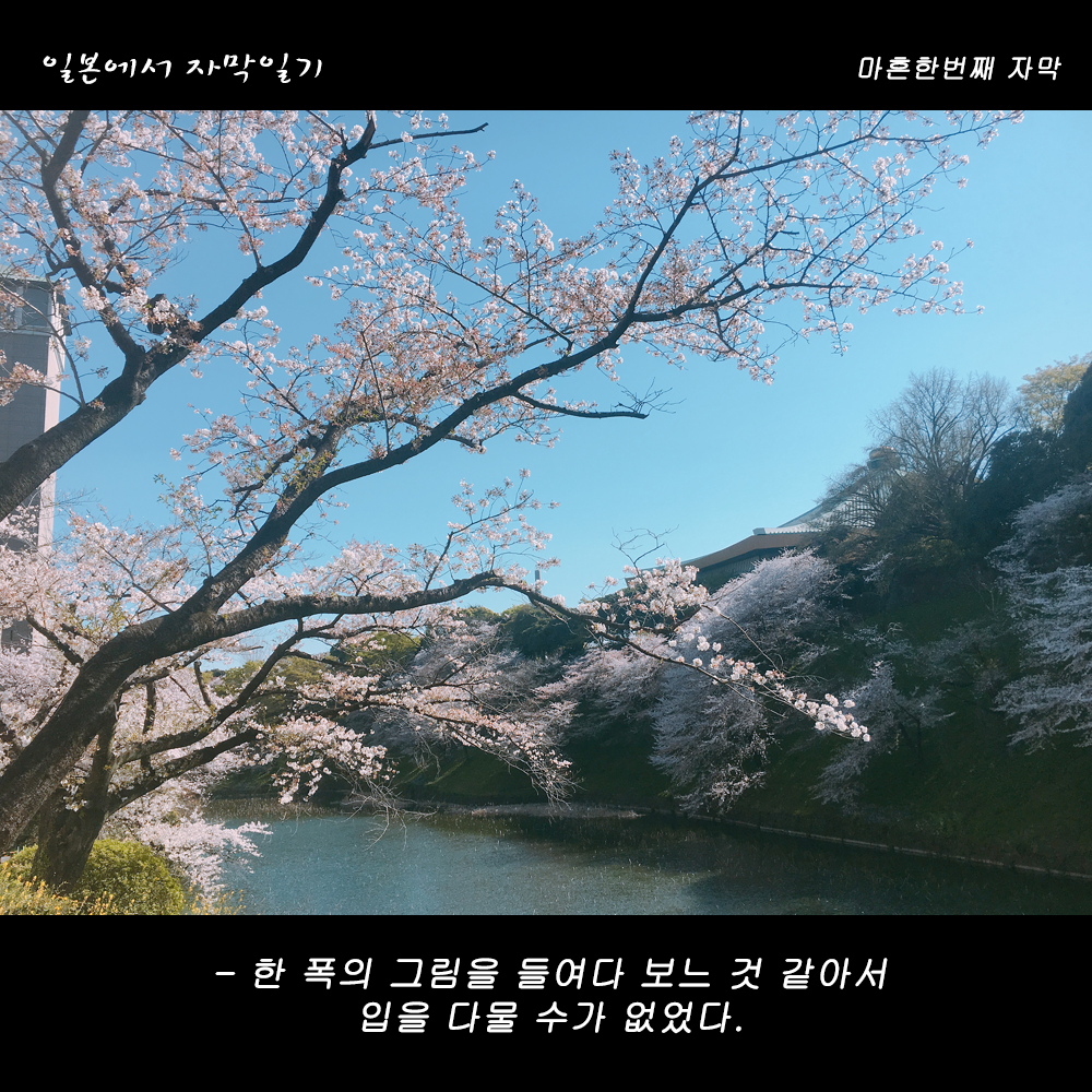 자막버전 copy 4.png