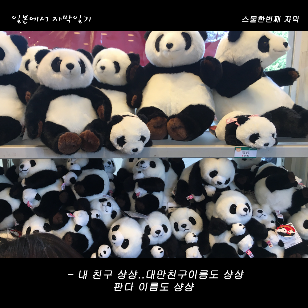 자막버전 copy 8.png