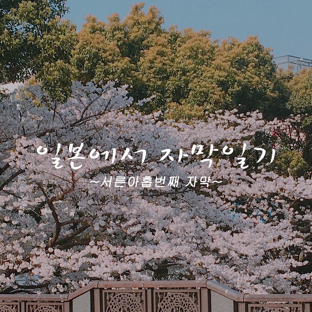 첫페이지 copy.png