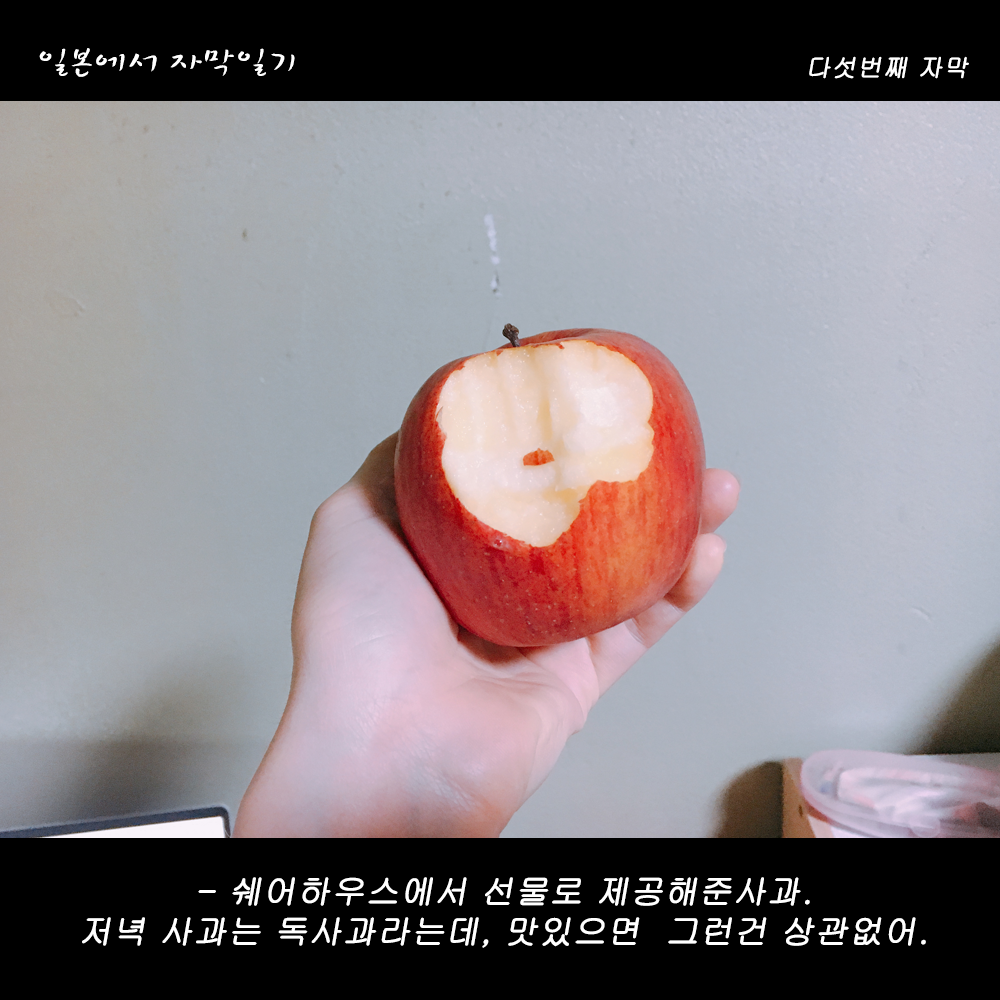 자막버전 copy 9.png