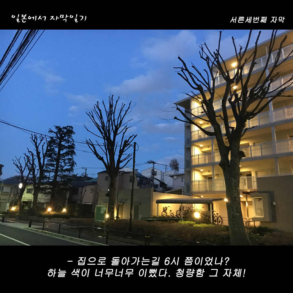 자막버전 copy 2.png