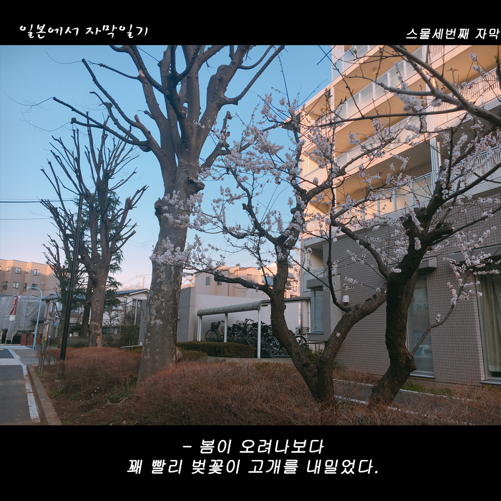 자막버전 copy 7.png