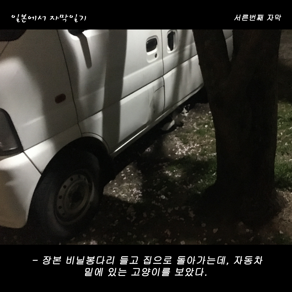 자막버전 copy 6.png