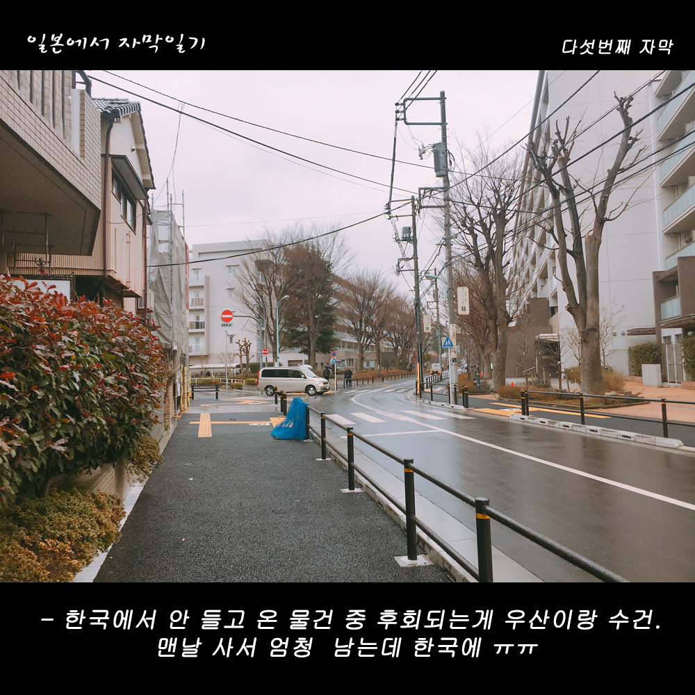 자막버전 copy.png