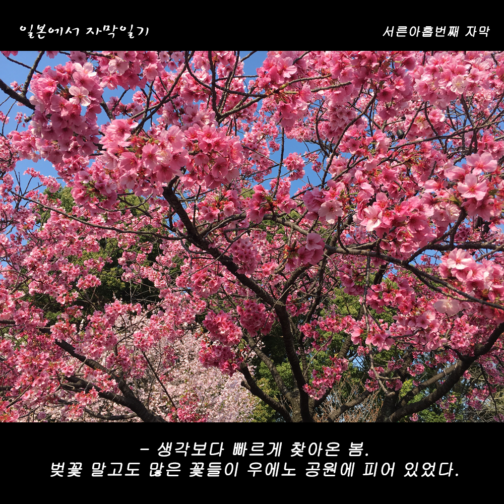 자막버전 copy 2.png