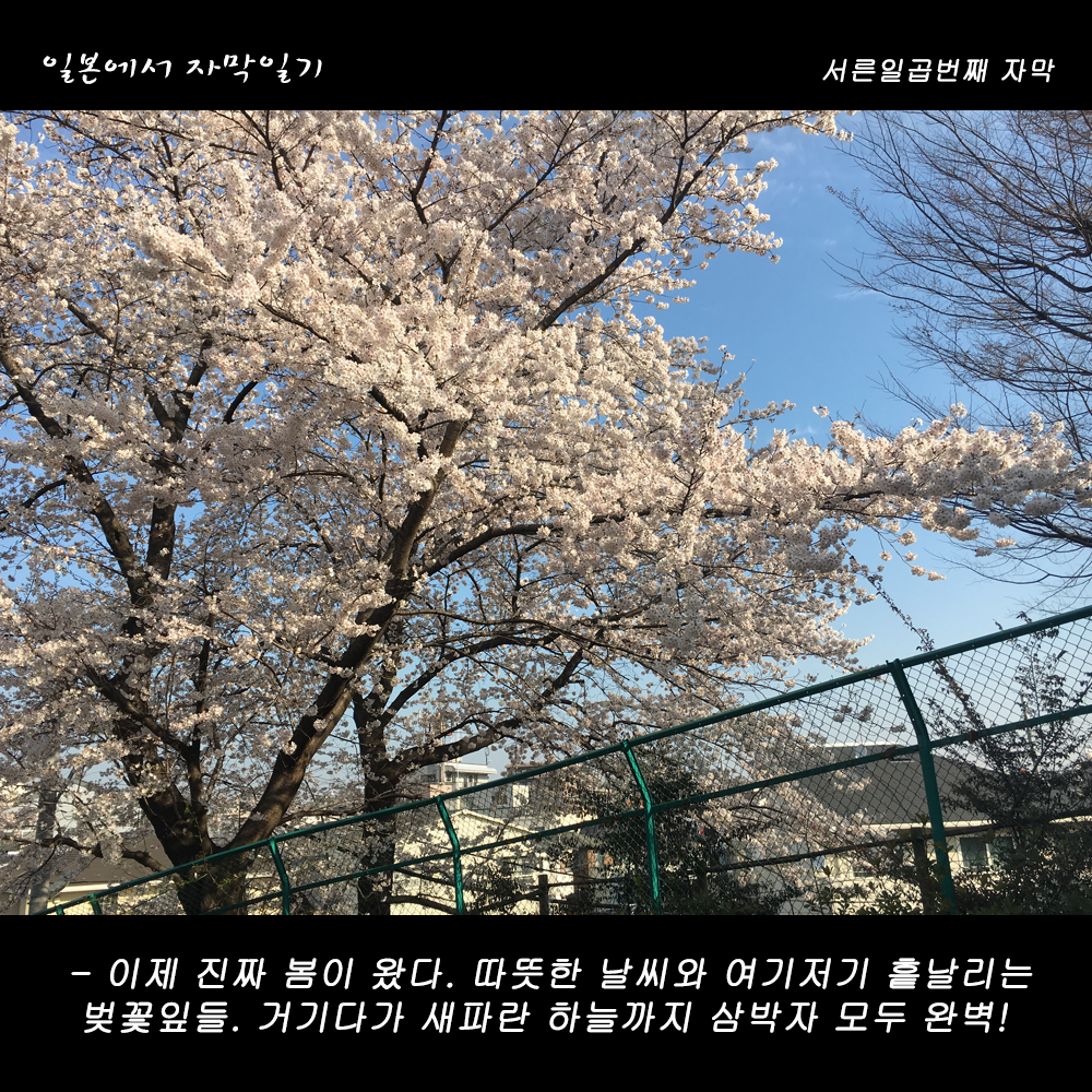 자막버전 copy.png