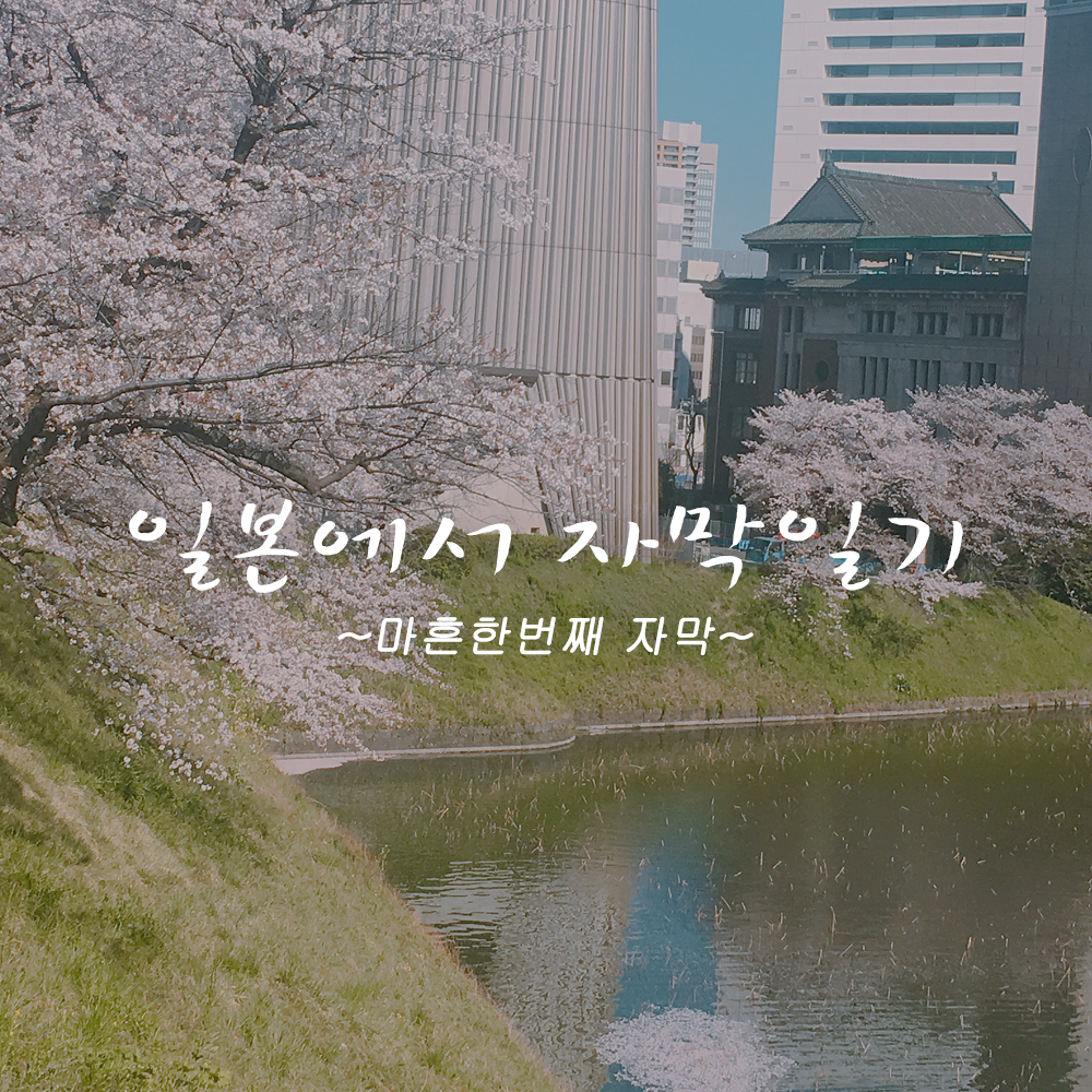 첫페이지 copy.png