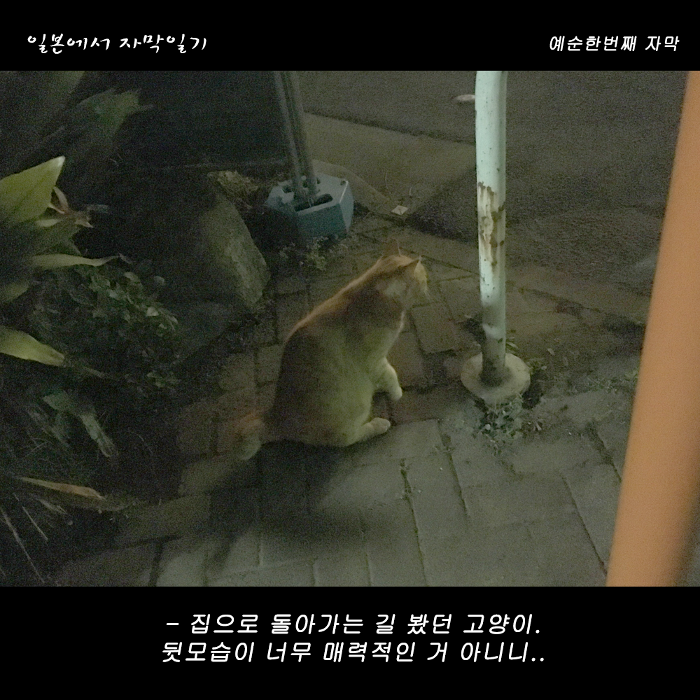 자막버전 copy 3.png