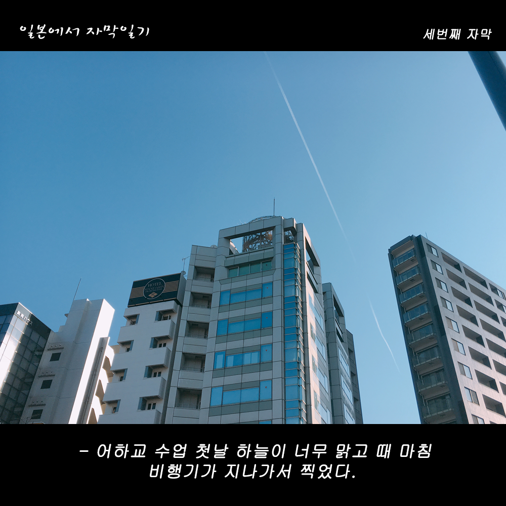 자막버전 copy 3.png